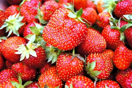 3 Low-Sugar Methods for Preserving Strawberries Image